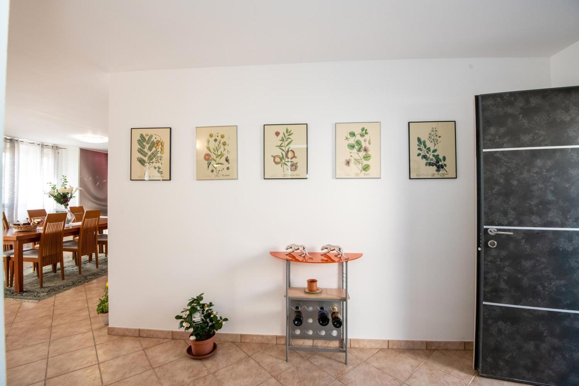 Villa Mastro Oleario 5 Dal Mare 30 Dai Monti Torrevecchia Teatina Extérieur photo